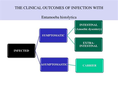 Ppt Intestinal` Protozoa Powerpoint Presentation Free Download Id9708629