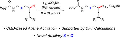 Allene Csp2h Activation And Alkenylation Catalyzed By Palladium