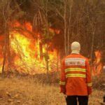 Diario HOY Incendios se agravan en el Pantanal brasileño mayor