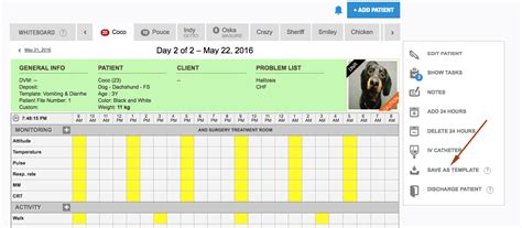 How do I create a template of a flow sheet? : Smart Flow Support