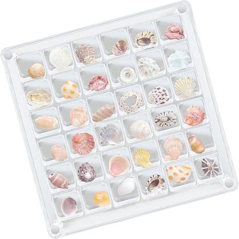 Amazon Seahuistar Seashell Display Box Acrylic Magnetic Square