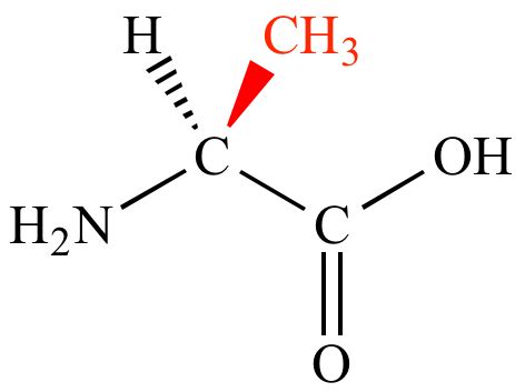 Illustrated Glossary of Organic Chemistry - Amino acid side chain (side ...