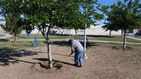 Retira Gobierno Municipal Maleza Y Basura De Espacios P Blicos