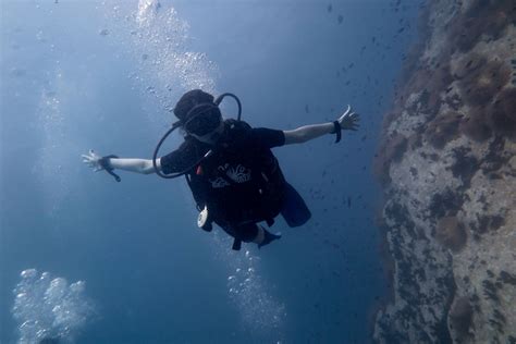 Thailand Scuba Diving Ko Tao Island Ko Tao Diving Thailand Diving