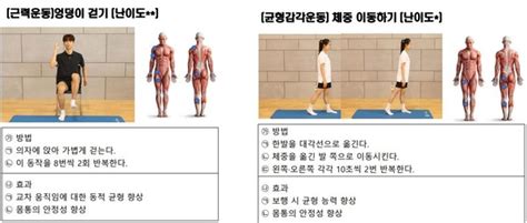 노인 낙상 예방 표준운동 프로그램 개발