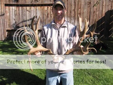 Monster Muleys Mule Deer Fanatic