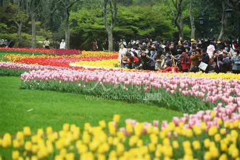 浙江杭州：踏青赏花享春光 人民图片网