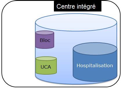 Organisation Et Innovation En Chirurgie Ambulatoire Role Du Service