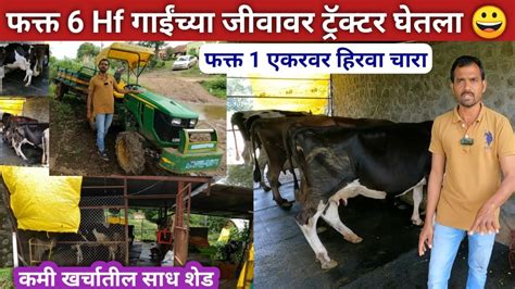 अल्पभूधारक शेतकऱ्याचा यशस्वी Hf गाईंचा गोठा Hf Cow Dairy Farming Youtube