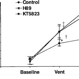 Effect Of K Channel Inhibition On Sequential Vent With FI O 2 Of 1 00