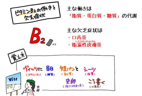 ビタミンb2の働きと欠乏症状の覚え方。「ヴィッツに当日、短パンとシーツ。史郎こう書く。」で覚えてみよう。 マンガで看護師国家試験にうかーる。