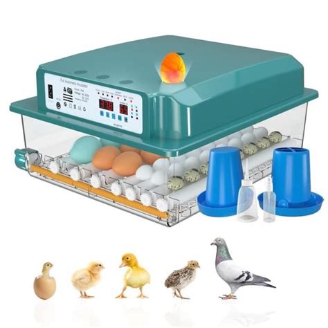 Couveuse Oeuf Automatique 24 36 Oeufs Incubateur Oeuf Automatique