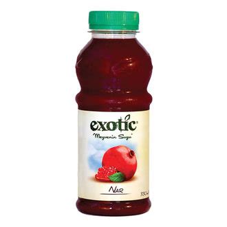 Carrefour Exotic Portakal Suyu 330 ml Fiyat Arşivi