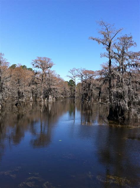 Caddo Lake State Park Karnak Texas Caddo Lake State Park Travel