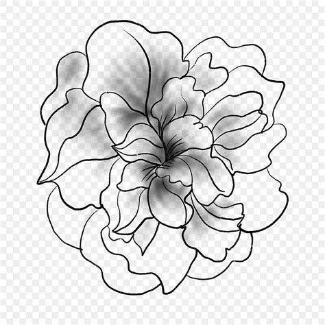 Dibujo De Flor En Blanco Y Negro Png Dibujos Dibujo De Flores Dibujo