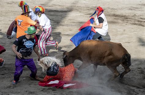 Toros a la tica o la tauromaquia al revés de Costa Rica