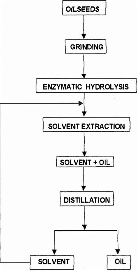 Steps Involved In Enzymatic Treatment And Solvent Extraction