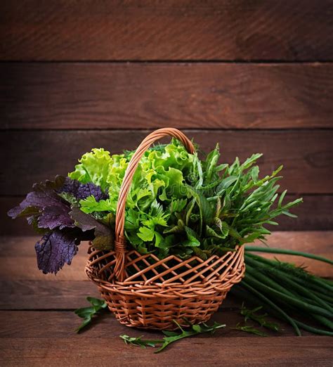 Variety Fresh Organic Herbs Stock Photo Image Of Aroma Arugula 72819842