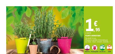 Promo Plante Aromatique Chez E Leclerc ICatalogue Fr