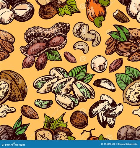 Nuts Set Sketch Style Food Illustrations Hand Drawn Beautiful Pictures