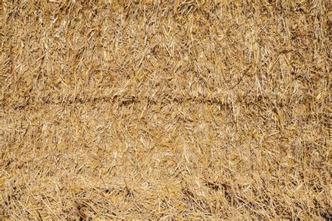 Premium Photo Straw Bale Background