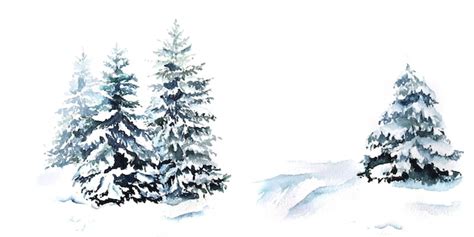 Premium Vector Winter Trees Snowy Forest Fir Tree Watercolor Illustration On White