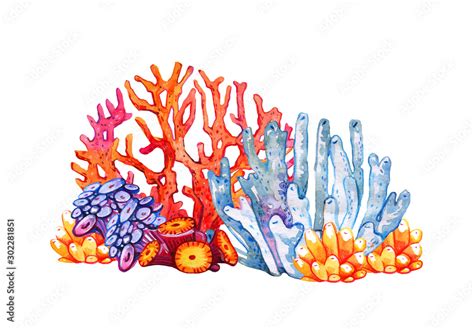 Coral Reef Different Color Polyps Hand Drawn Watercolor Illustration