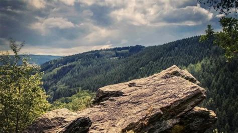 4 balades bluffantes en Belgique in 2020 Wandelen België Natuur