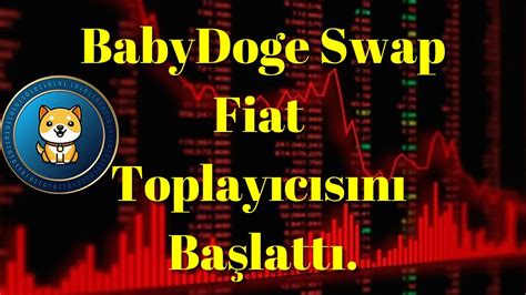 Kripto Sesli Haber En İyi Singapur Kripto Borsası BabyDoge Coin i