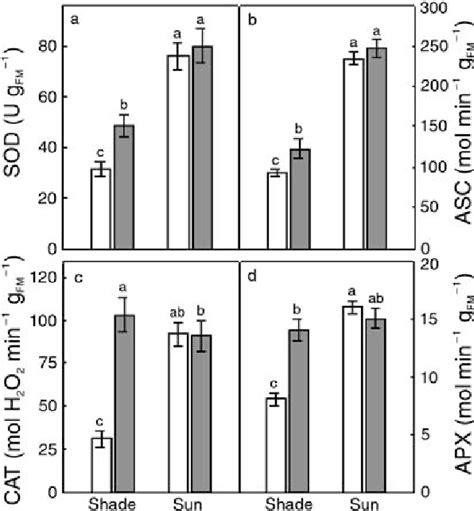 A The Activity Of Superoxide Dismutase Sod And B Ascorbate Asc