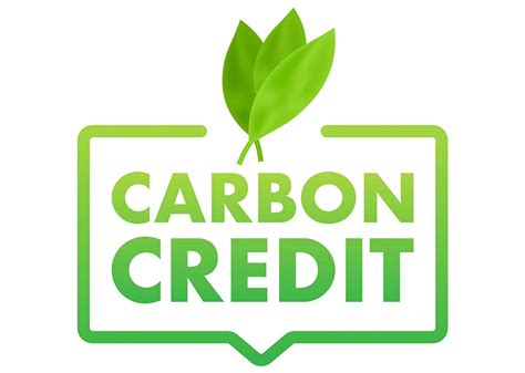 How To Buy Carbon Credits: A Step-by-Step Guide To Reducing Your Carbon ...
