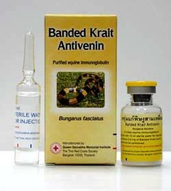 Banded Krait Snake Antivenom – Snake-Antivenin.com