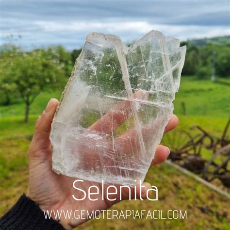 Selenita Bruto Modelo Gemoterapia F Cil Tienda De Minerales Online