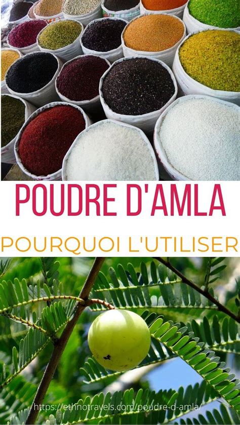 Poudre D Amla Comment Et Pourquoi L Utiliser Ethno Travels