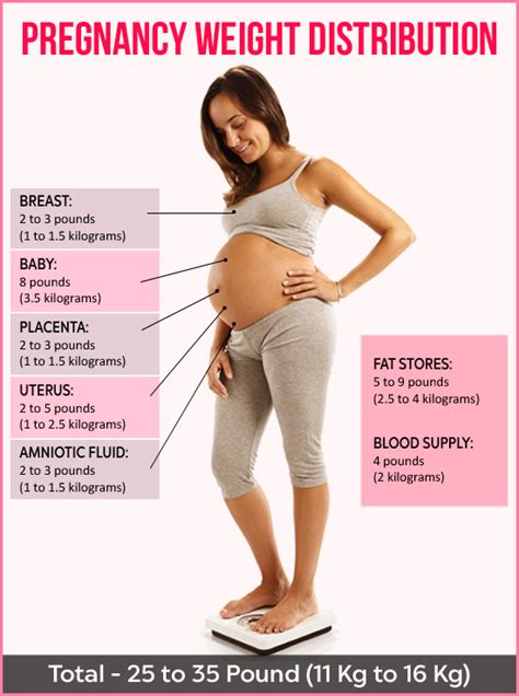 Pregnancy Weight Gain Month By Month Chart Ponasa