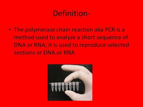 Polymerase Chain Reaction Powerpoint