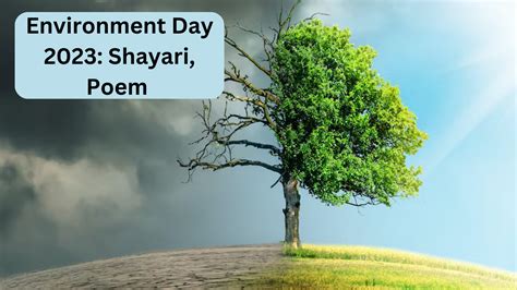 Environment Day Shayari पर्यावरण दिवस की शायरियां फोन पर अपनों को हिंदी में भेजे ये बढ़िया सी