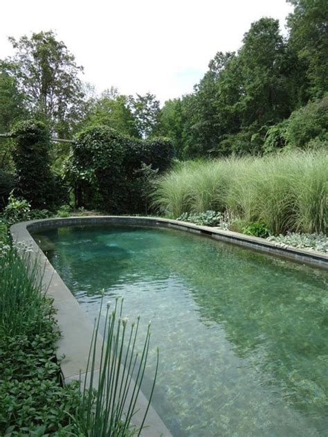 25 Natural Swimming Pool That Made To Look A River Homemydesign