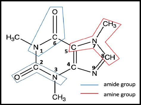 Functional groups including amines and amides present in a caffeine ...