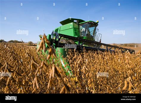 Agricultura Una Cosechadora John Deere Cosechas Una Gran Cosecha De