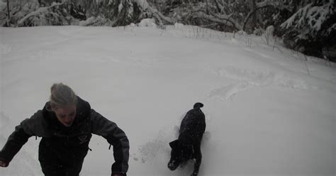 Stovall Family: Snow day in Ketchikan