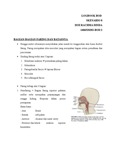 Anatomi Komponen Faring | PDF