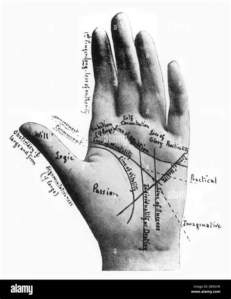 Palmistry Chart Hi Res Stock Photography And Images Alamy