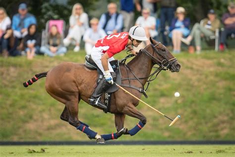 Cowdray Park Polo Club, The Cowdray Estate. Midhurst West Sussex