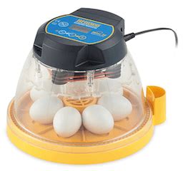 The Best Egg Incubator How To Choose And Use It Properly Updated