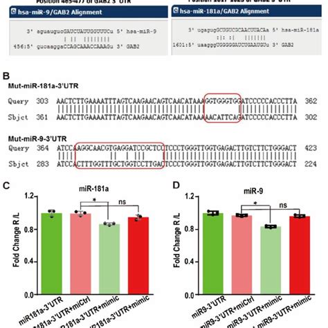 Expression Of Mirnas In The Hepatocellular Carcinoma Cell Lines Hepg