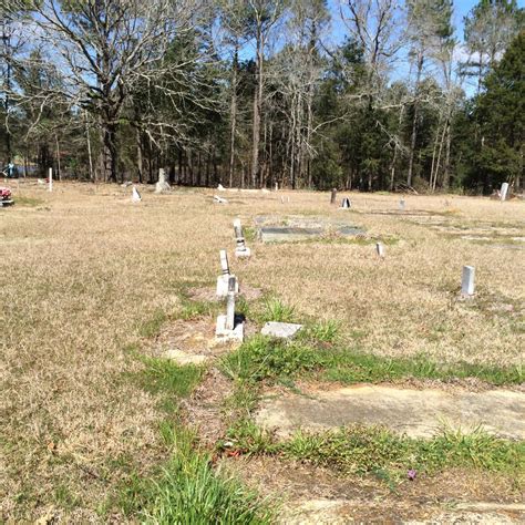 Pipkin Cemetery på Hawkinsville Georgia Find a Grave begravningsplats