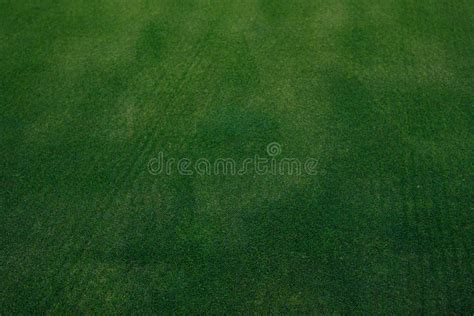 Golf Course Green Grass Texture Stock Image - Image of space, natural ...