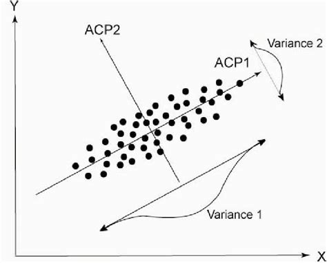 Représentation De Lanalyse En Composantes Principales Acp Soit Une
