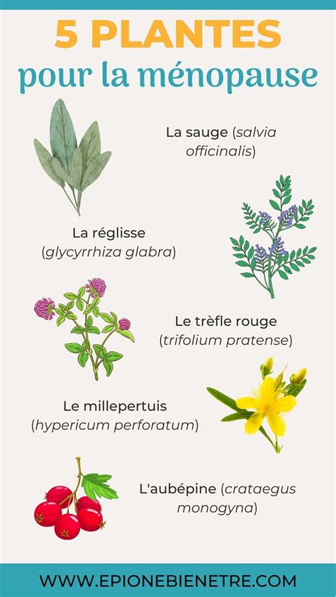 Épinglé sur BLOG EPIONE Articles Ayurveda Minimalisme